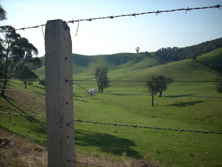 BARE BOOTY ELECTRIC FENCE CHALLENGE FAIL !! NEW ZEALAND